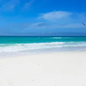 Calypso 3-807 , Panama City Beach United States